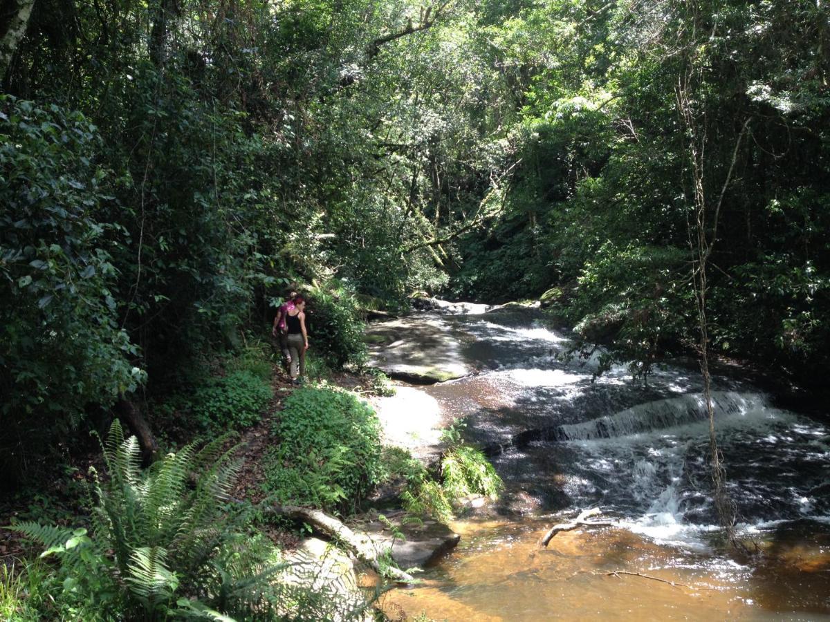 Blend Lodge And Kitchen - Pakachere Zomba Bagian luar foto